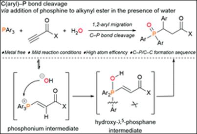 Graphical abstract: Metal-free C(aryl)–P bond cleavage: experimental and computational studies of the Michael addition/aryl migration of triarylphosphines to alkynyl esters