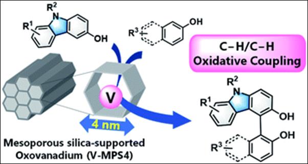 Graphical abstract: Chemo- and regioselective cross-dehydrogenative coupling reaction of 3-hydroxycarbazoles with arenols catalyzed by a mesoporous silica-supported oxovanadium