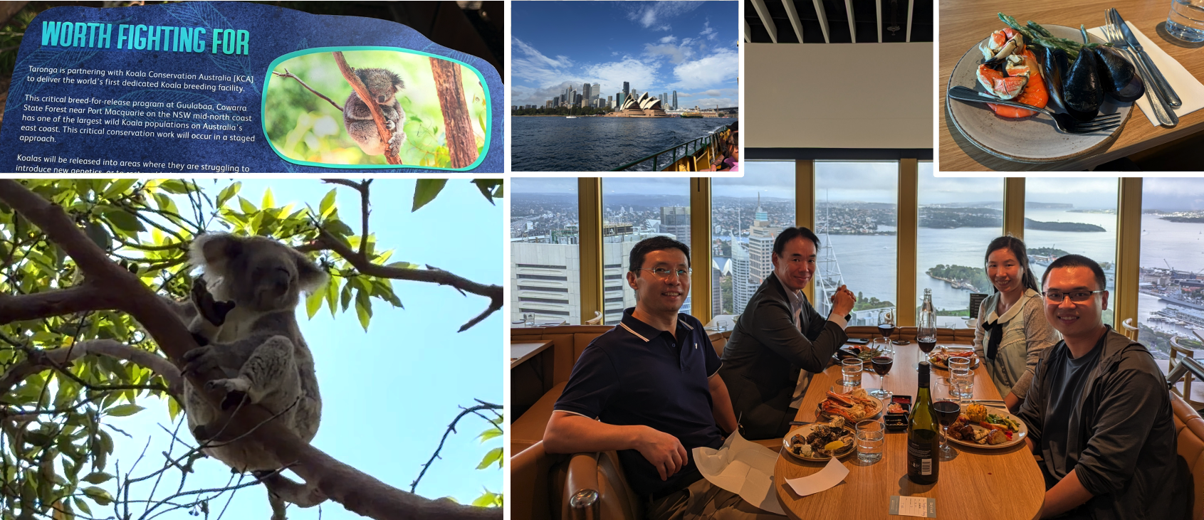 Break time in Sydney