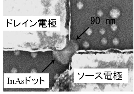 InAs self-assembled quantum dot