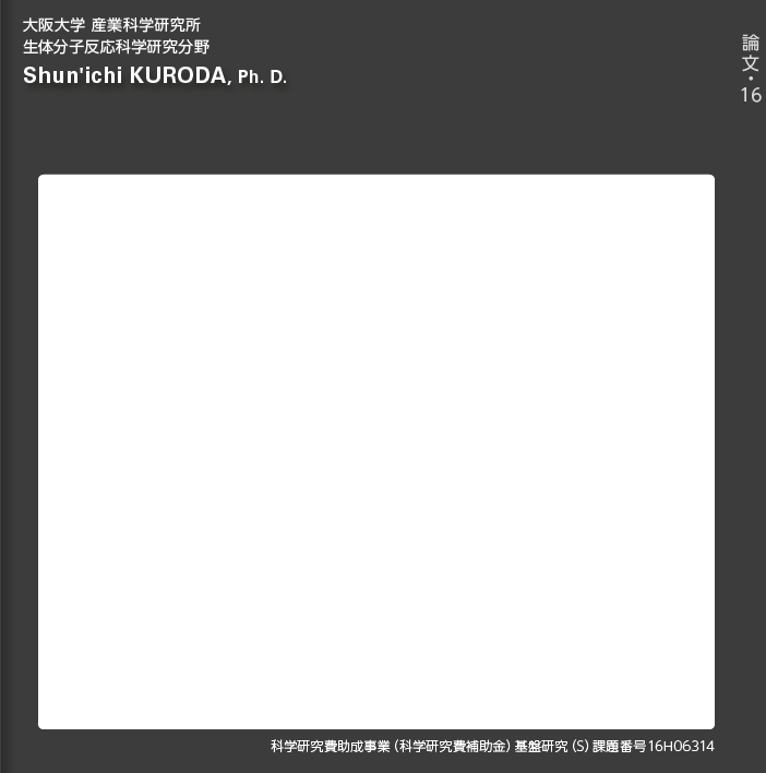 論文16
