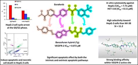 Graphical abstract: Design and synthesis of sorafenib-inspired benzofuran hybrids as VEGFR-2 inhibitors: antiproliferative evaluation, mechanistic insights, and docking studies in hepatocellular carcinoma