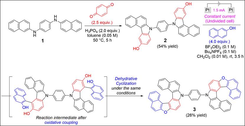 Graphical abstract: Metal-free C(aryl)–P bond cleavage: experimental and computational studies of the Michael addition/aryl migration of triarylphosphines to alkynyl esters