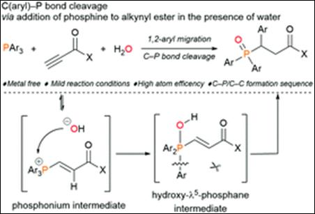 Graphical abstract: Catalytic and enantioselective oxa-Piancatelli reaction using a chiral vanadium complex