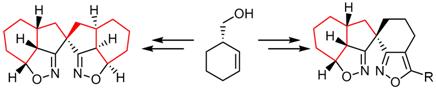 asymmetric SPRIX.tif