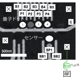 図１