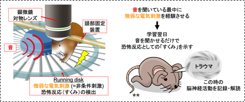 図2