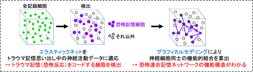 図4