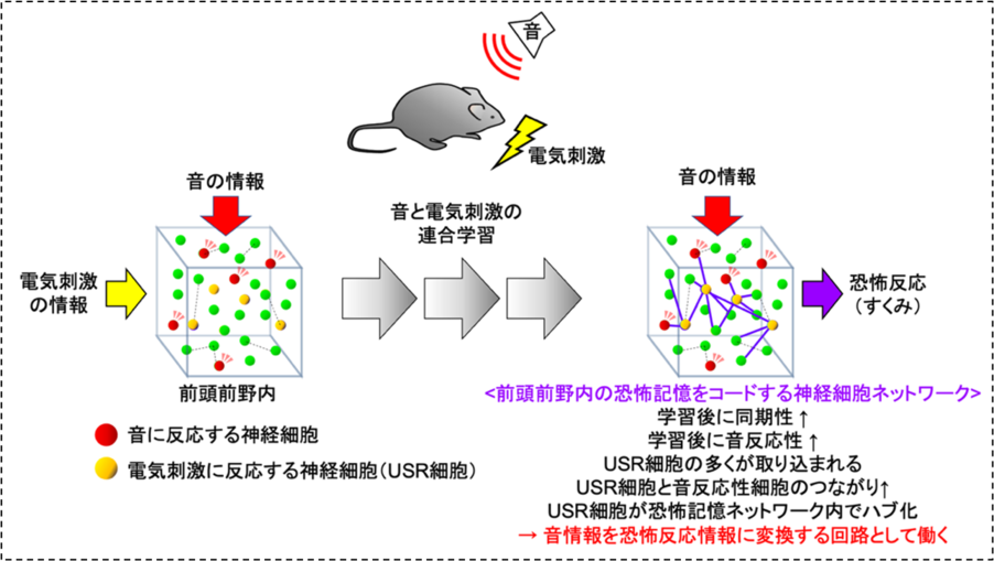 図6