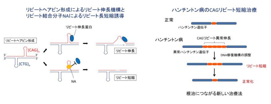 図2