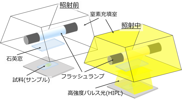 図3