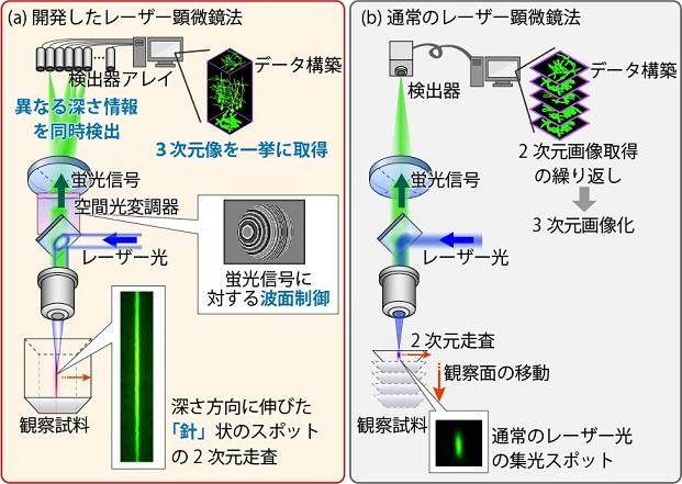 図１