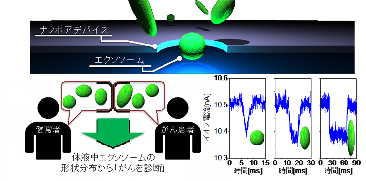 参考図