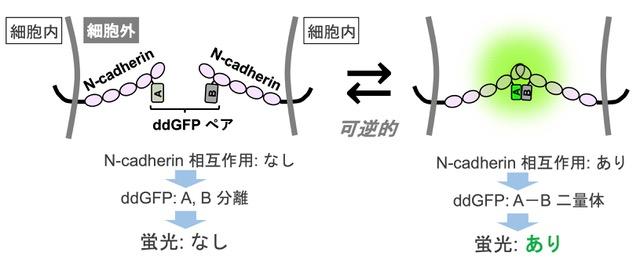 図1