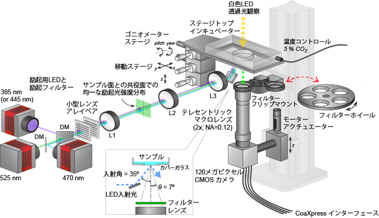 図2