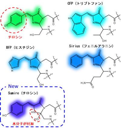 図1