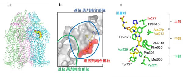 図1